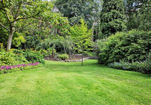 Optimiser l'expérience du jardin à Le Minihic-sur-Rance